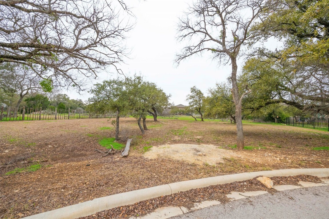 Property Photo:  110 Stately Oak Drive  TX 78628 