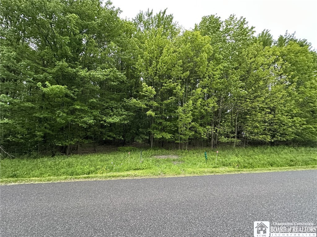 Property Photo:  583 Prosser Hill Road  NY 14701 