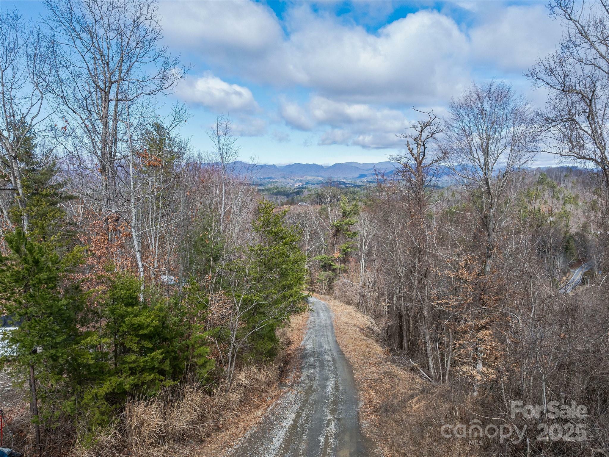 Property Photo:  99999  -2 Barnardsville Highway  NC 28787 