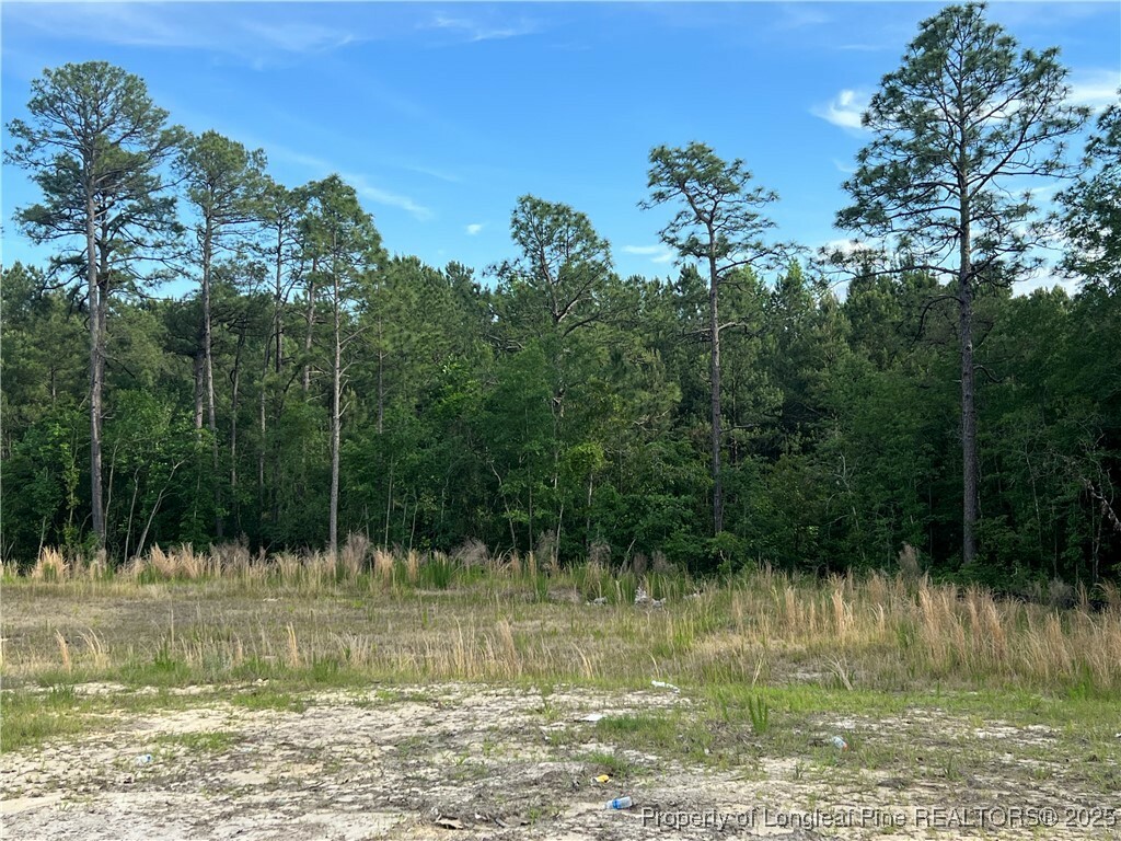 Property Photo: 657 Cresswell Moor Way NC 28311