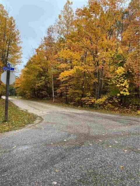 Property Photo: 7 &Amp 8 Cadotte MI 49701
