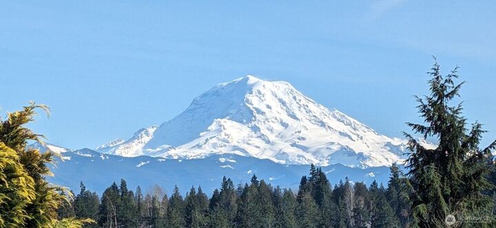 Property Photo:  19618  82nd Street Ct E  WA 98391 