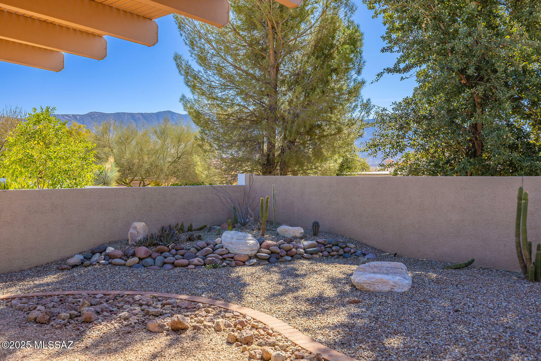 Property Photo:  64229 E Orangewood Lane  AZ 85739 