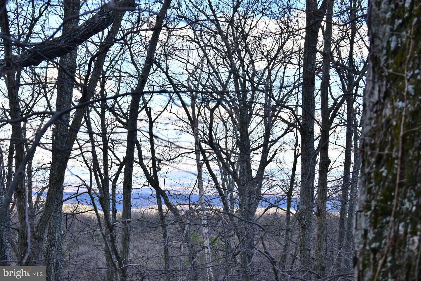 Property Photo: Lot 10,11,12-13 A Fox Trail 602 VA 22602