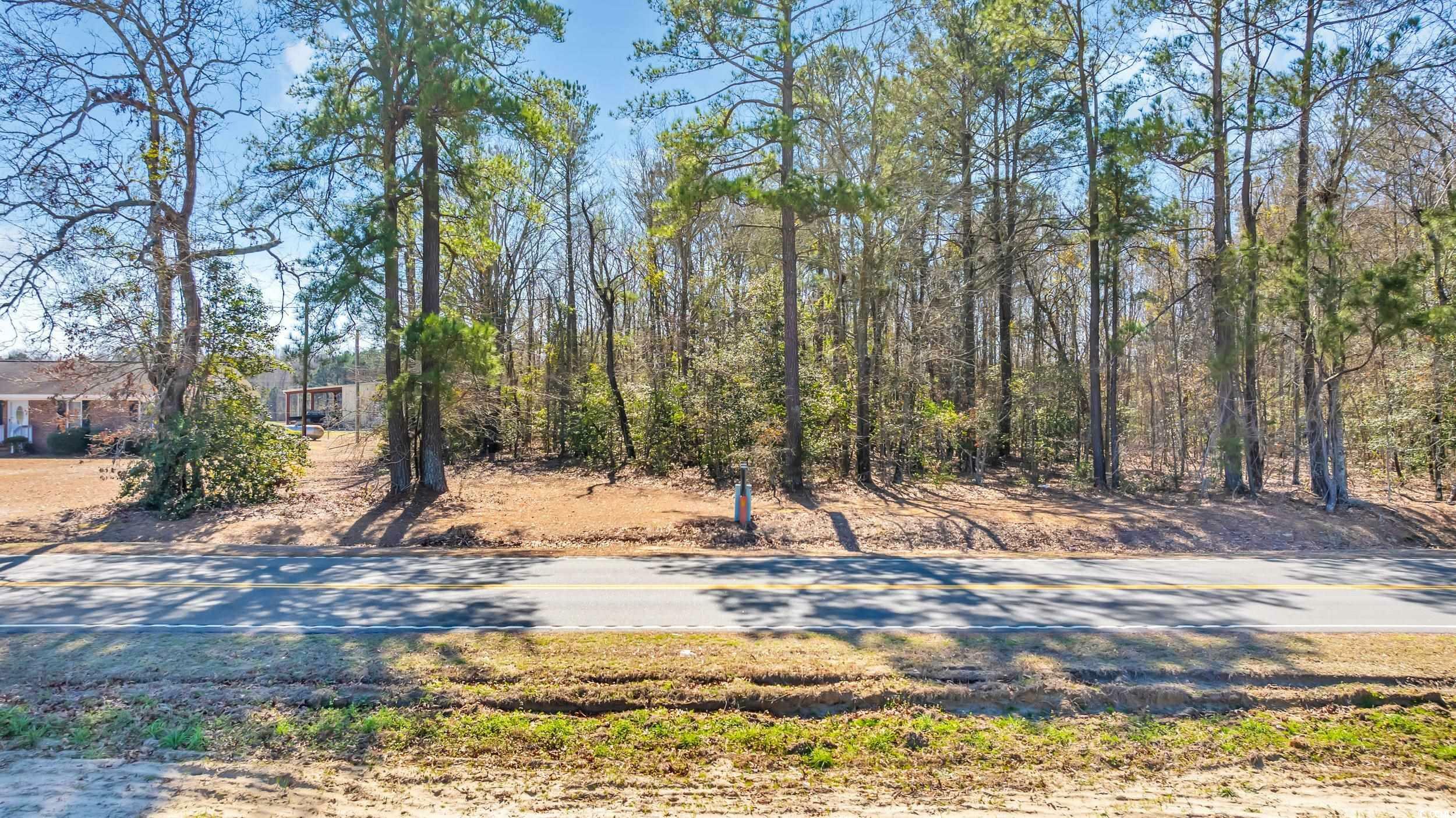 Property Photo:  Tbd Bethel Chapel Rd.  SC 29569 