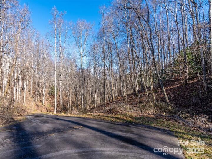 Property Photo:  19 &Amp 20 Marcus Ridge Drive 26/34  NC 28730 