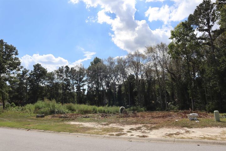Property Photo:  W/S Cranley  SC 29229 