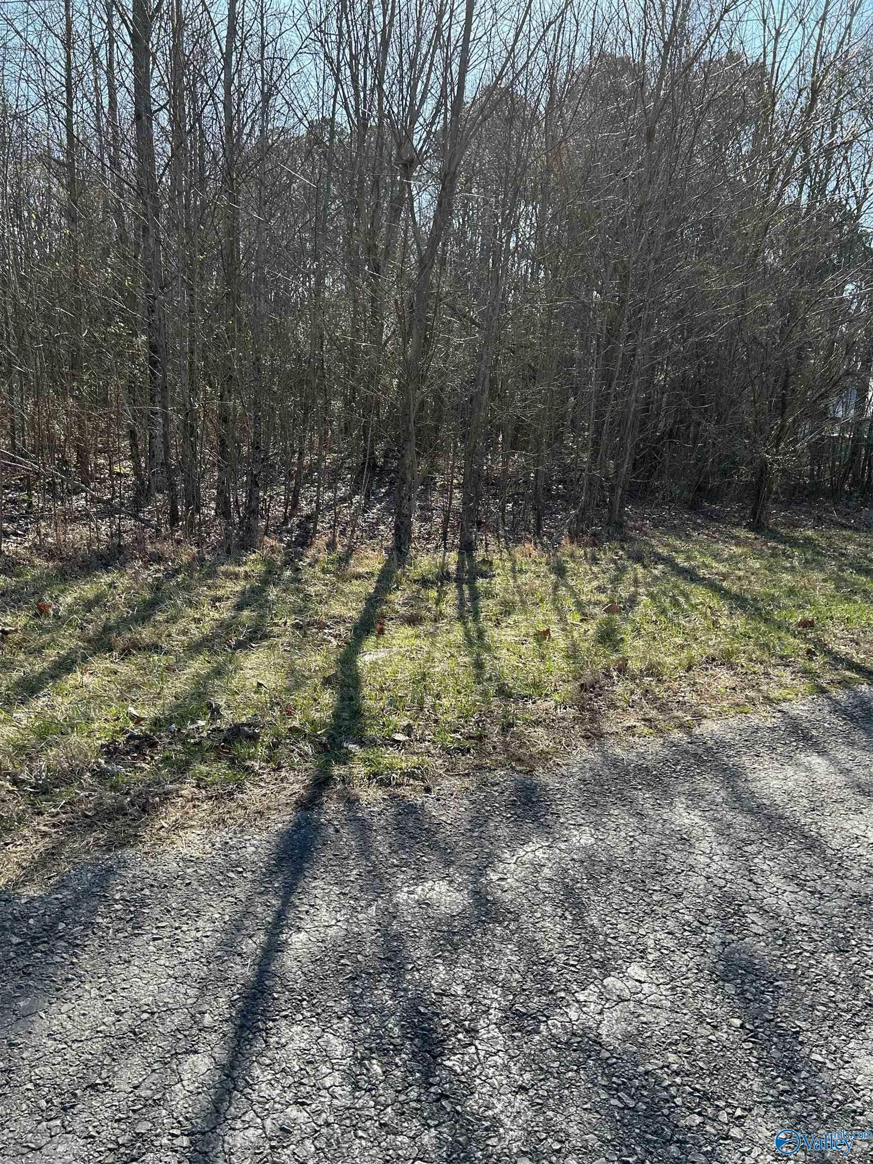 Property Photo:  1 Acre Willis Road  AL 35175 