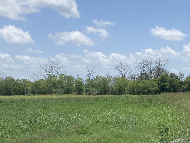 Property Photo:  10945 Dillon  TX 78002 