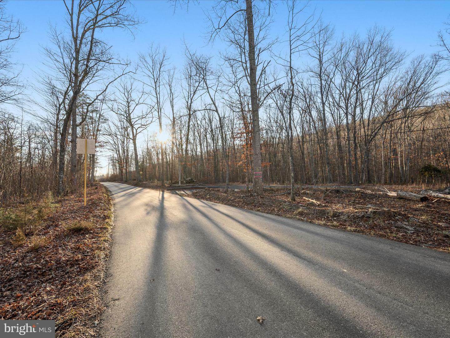 Property Photo:  Lot 1 Back Creek Rd  VA 22637 