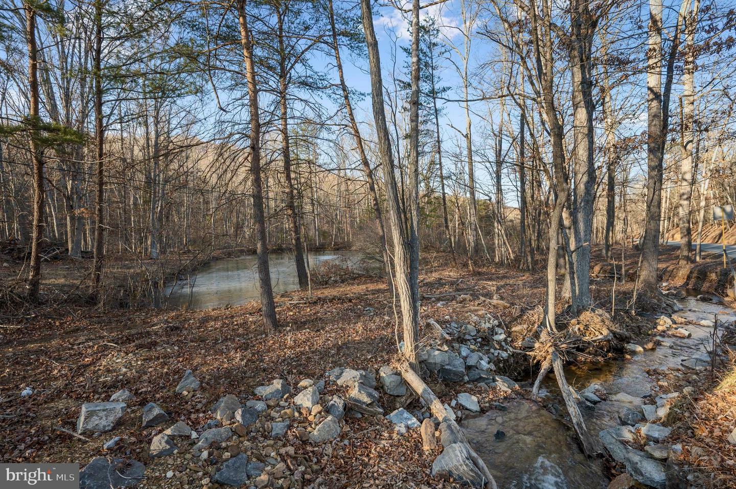 Property Photo:  Lot 4 Back Creek Rd  VA 22637 