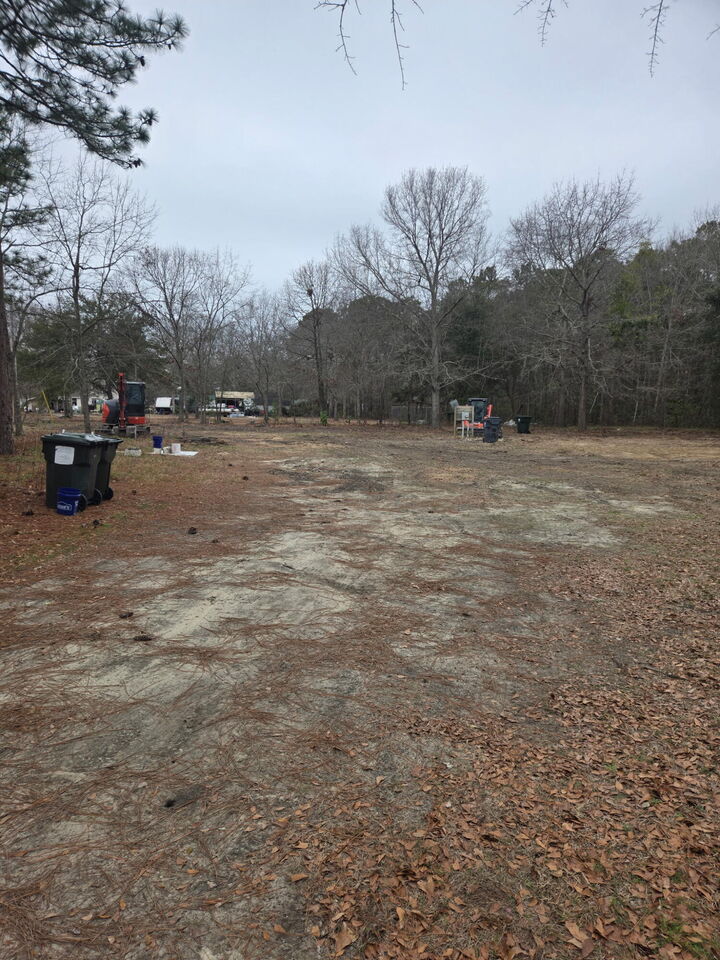 Property Photo:  133 Summer Duck Lane  SC 29431