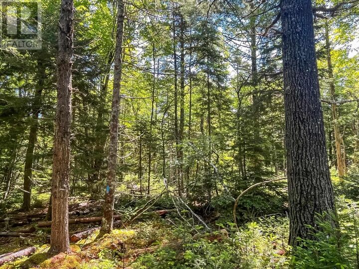 Property Photo:  Lot 1000  Conquerall Road  NS B0R 1G0 