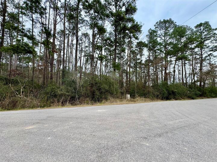 Property Photo: Lot 107 Whisperwood Drive TX 77360