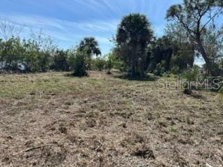 Property Photo:  2006 Cooper Street  FL 33950 