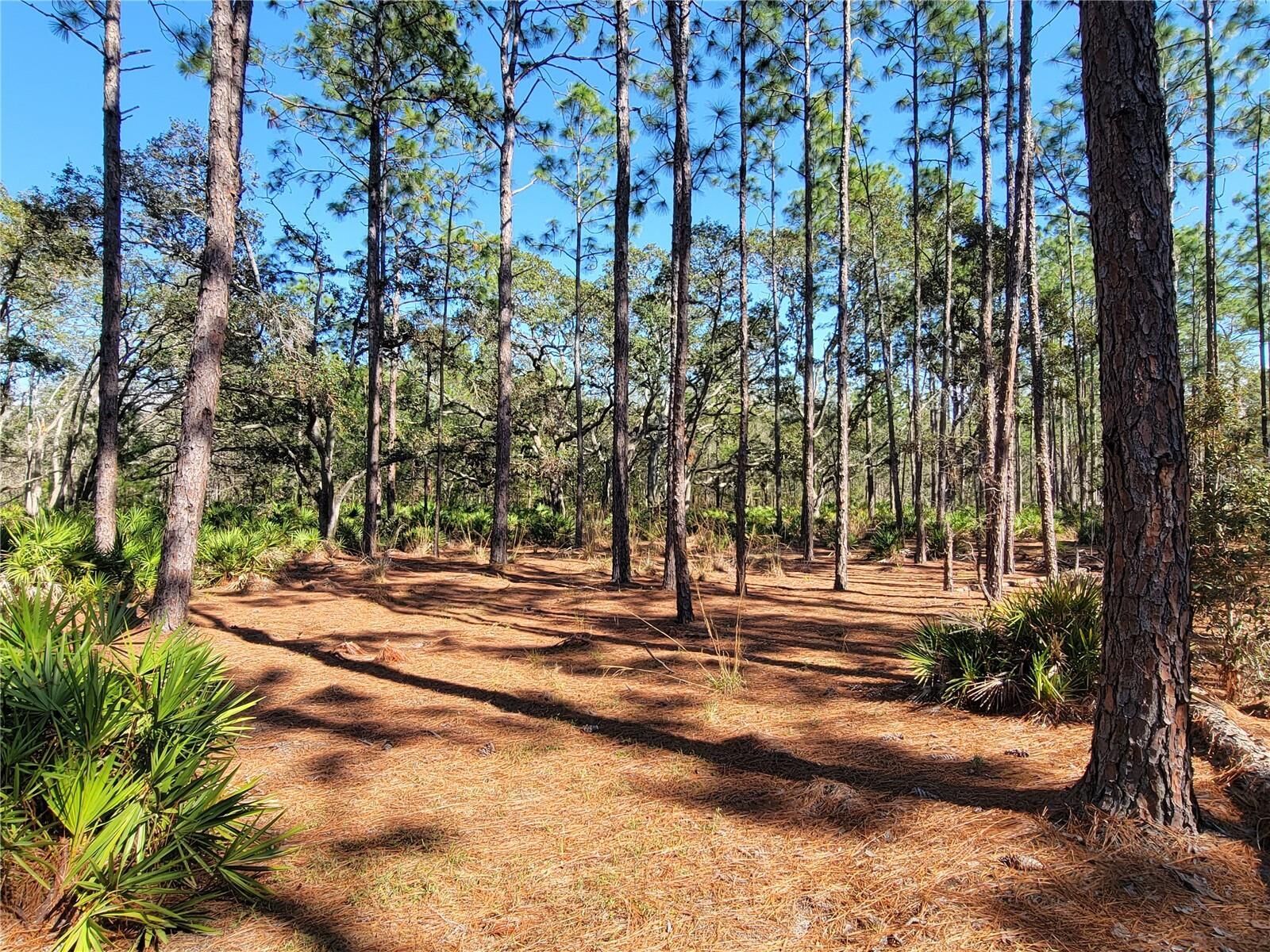 Property Photo:  16442 Hardeman Junction  FL 34614 