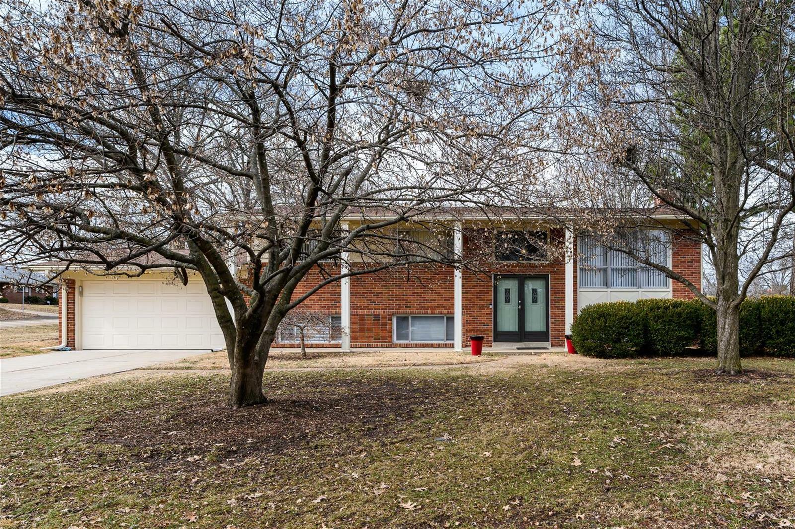 10653 Roxanna Drive  St Louis MO 63128 photo
