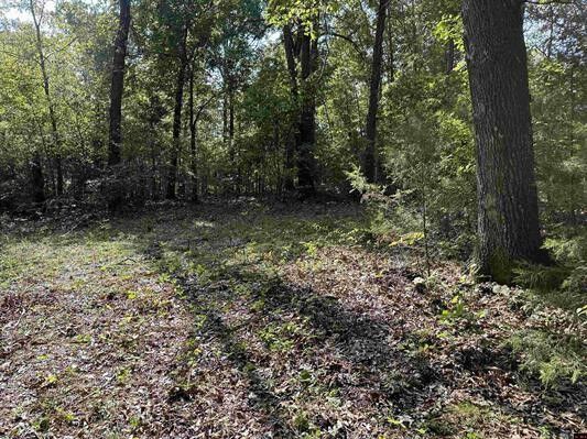 Property Photo: Lot 1 Mc 7097 AR 72634
