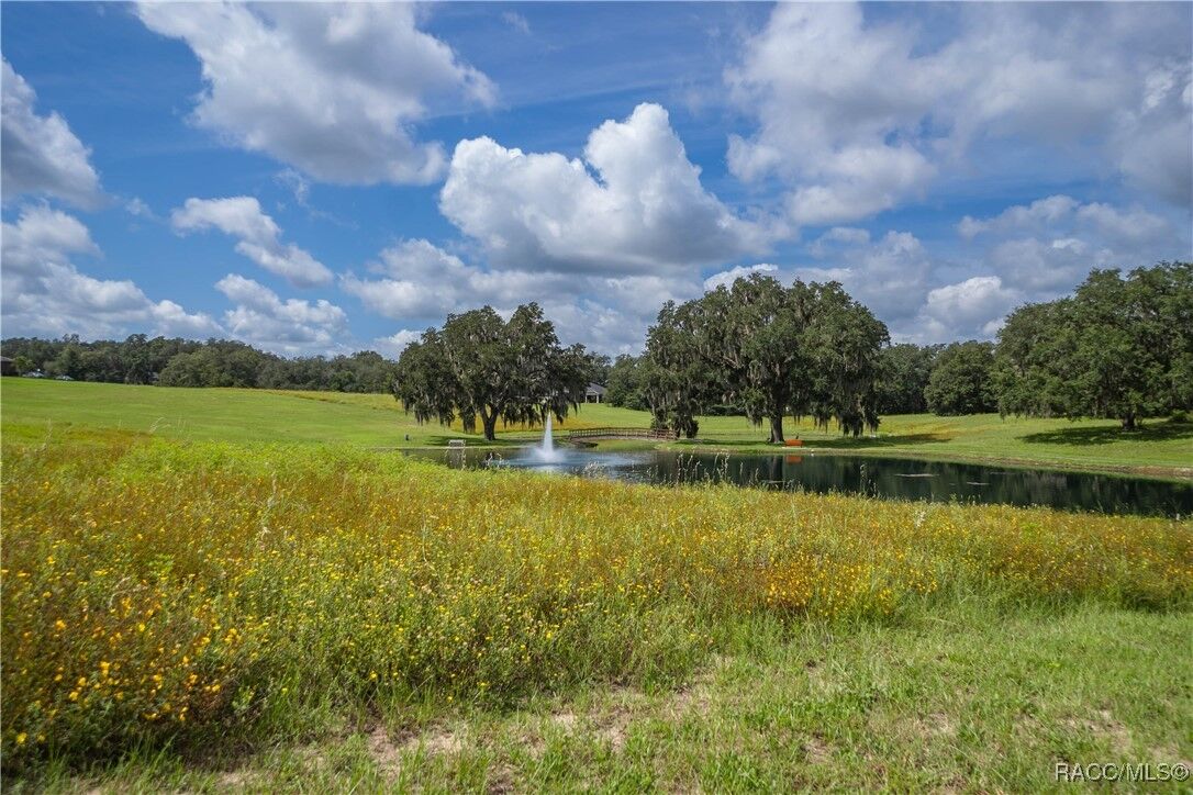 Property Photo:  375 N Lake Shenandoah Loop  FL 34453 