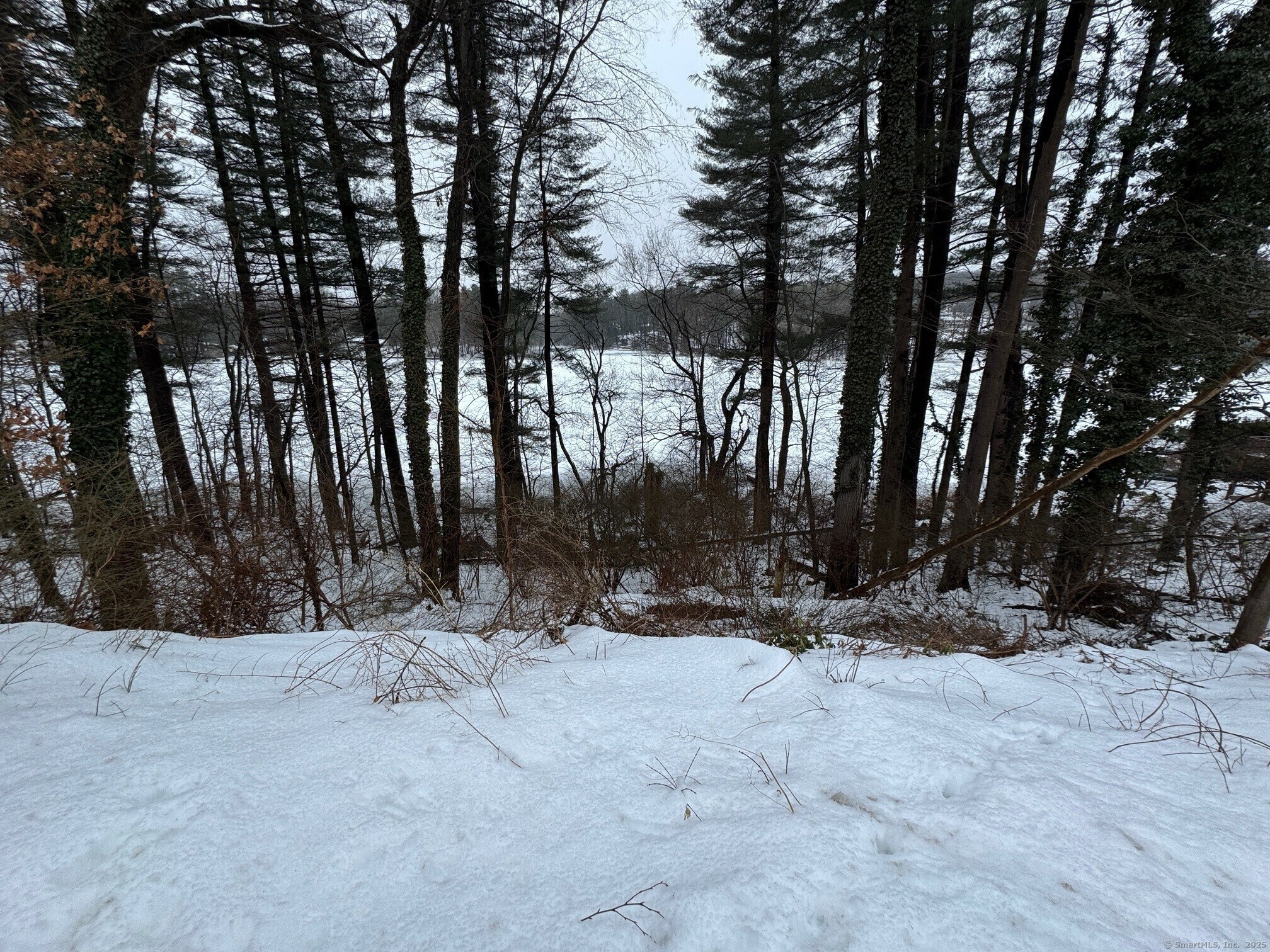 Property Photo: Pinewood Trail CT 06611