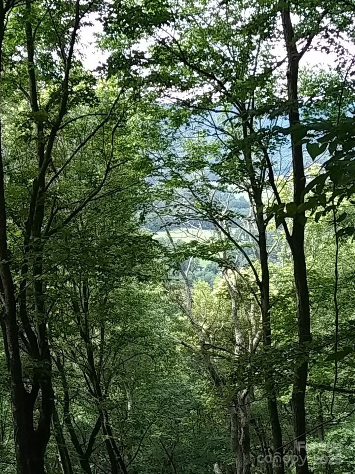 Property Photo: 9999 Laurel Drive 12 &Amp 13 NC 28759