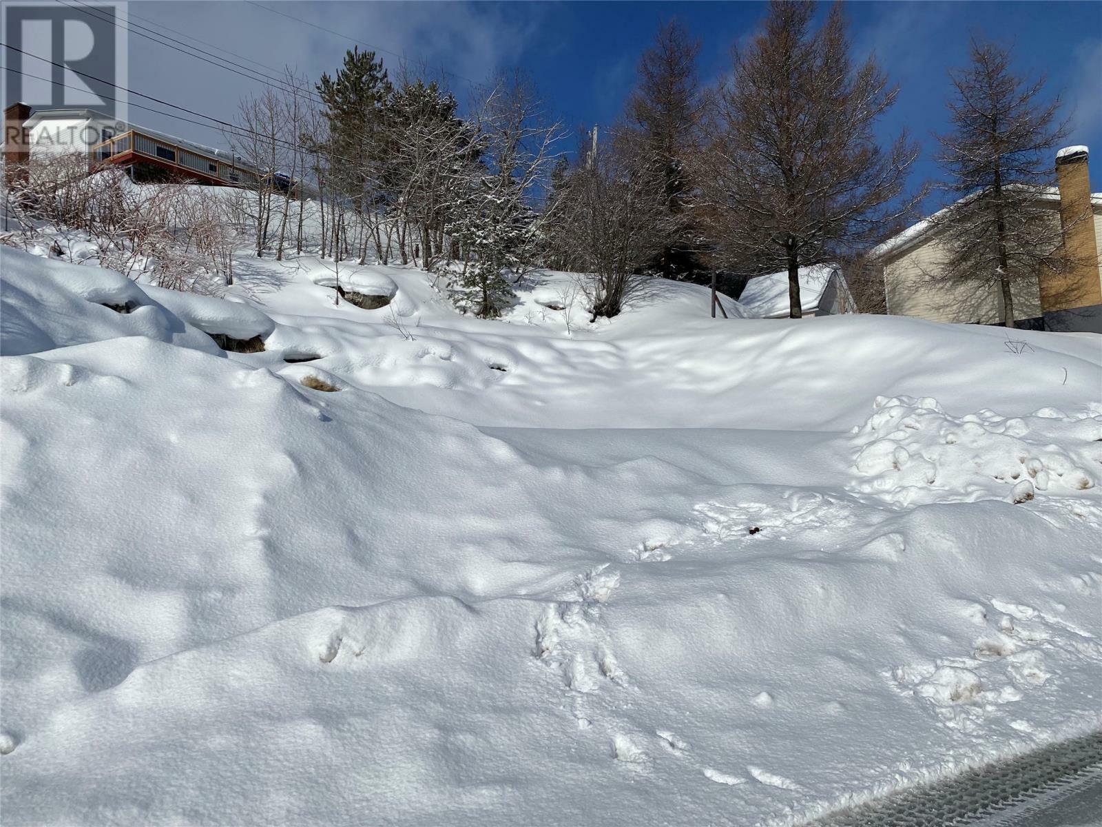 Property Photo:  3 Webster Place  NL A2H 4K8 