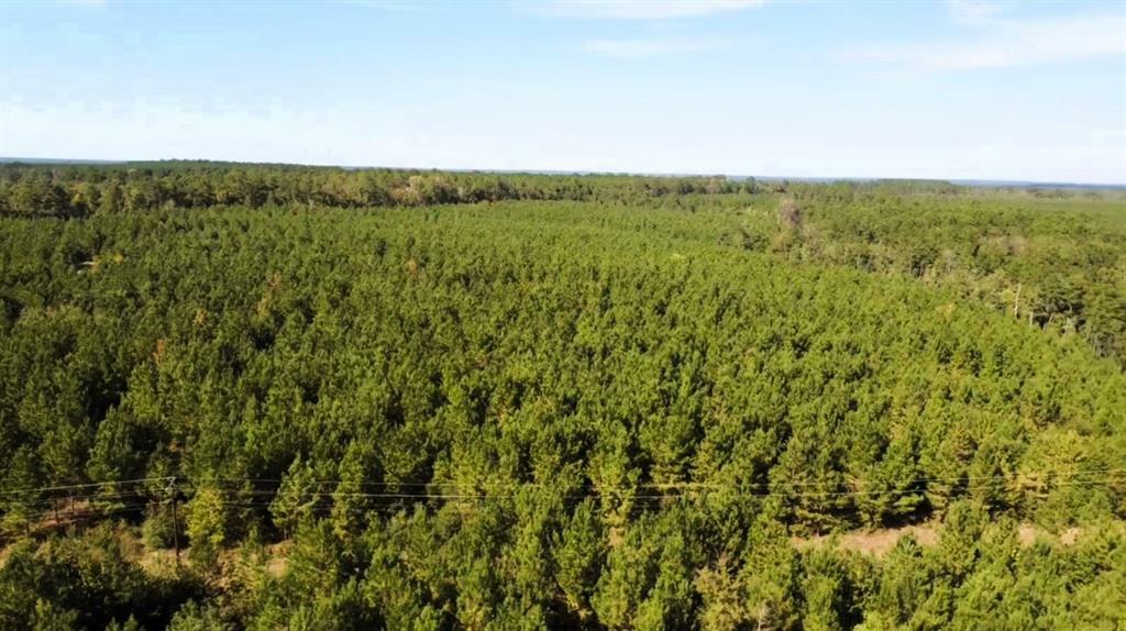 Property Photo: 0 US Highway 190 TX 77351