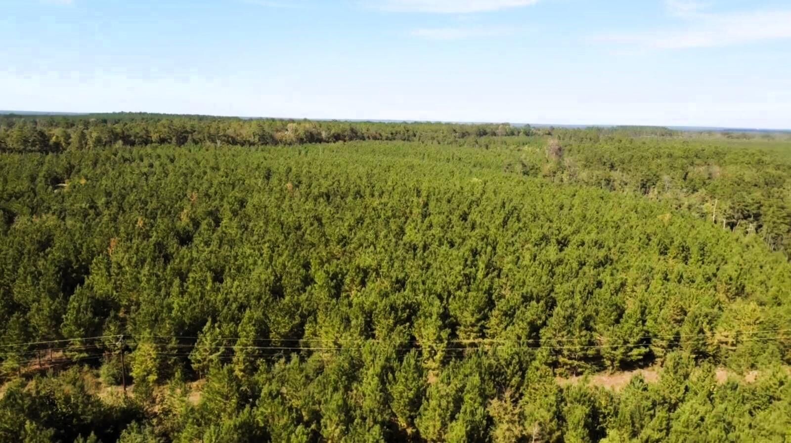 Property Photo:  0 US Highway 190 E  TX 77351 