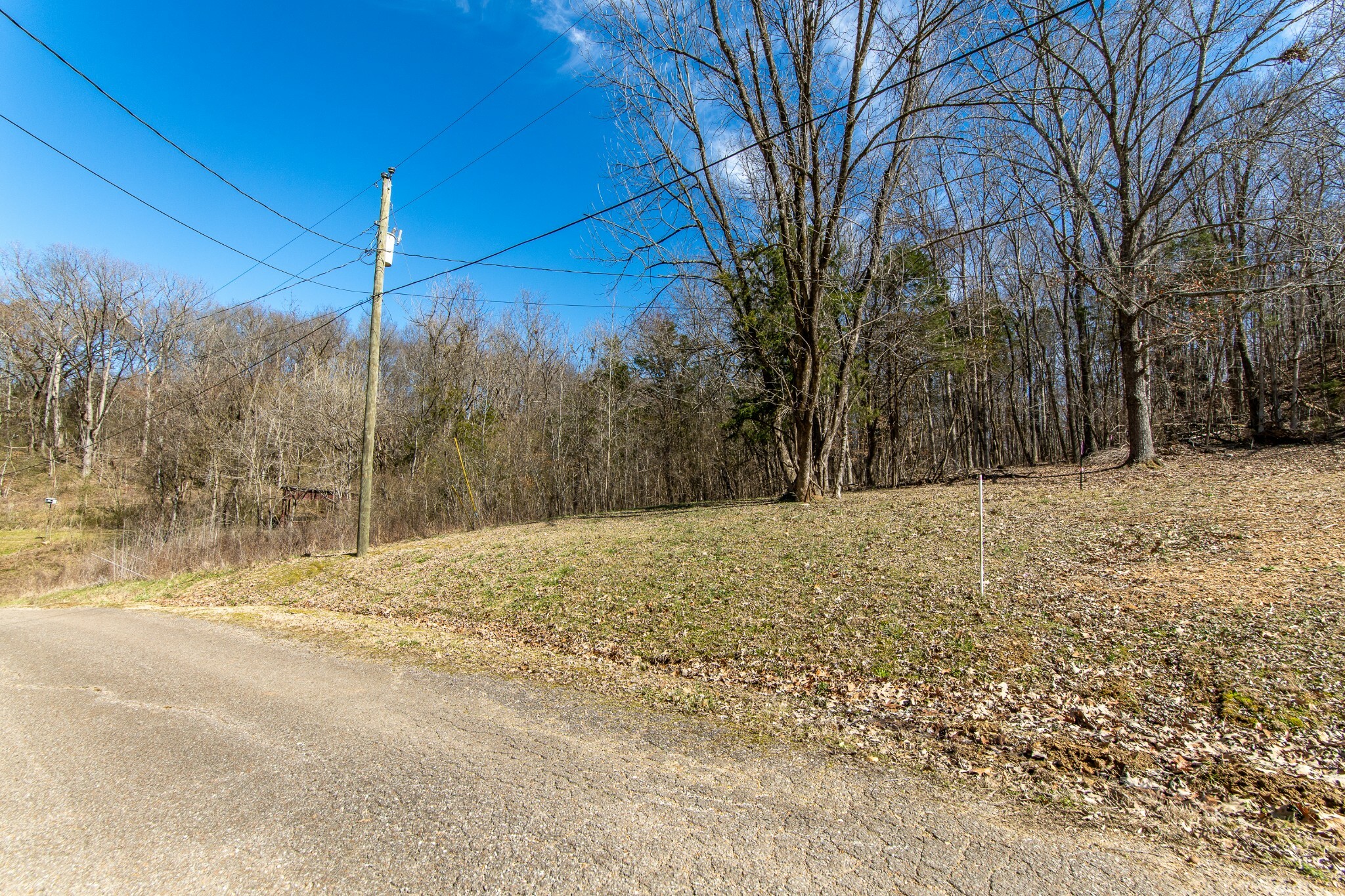 Property Photo:  0 Salt Ln  TN 38372 