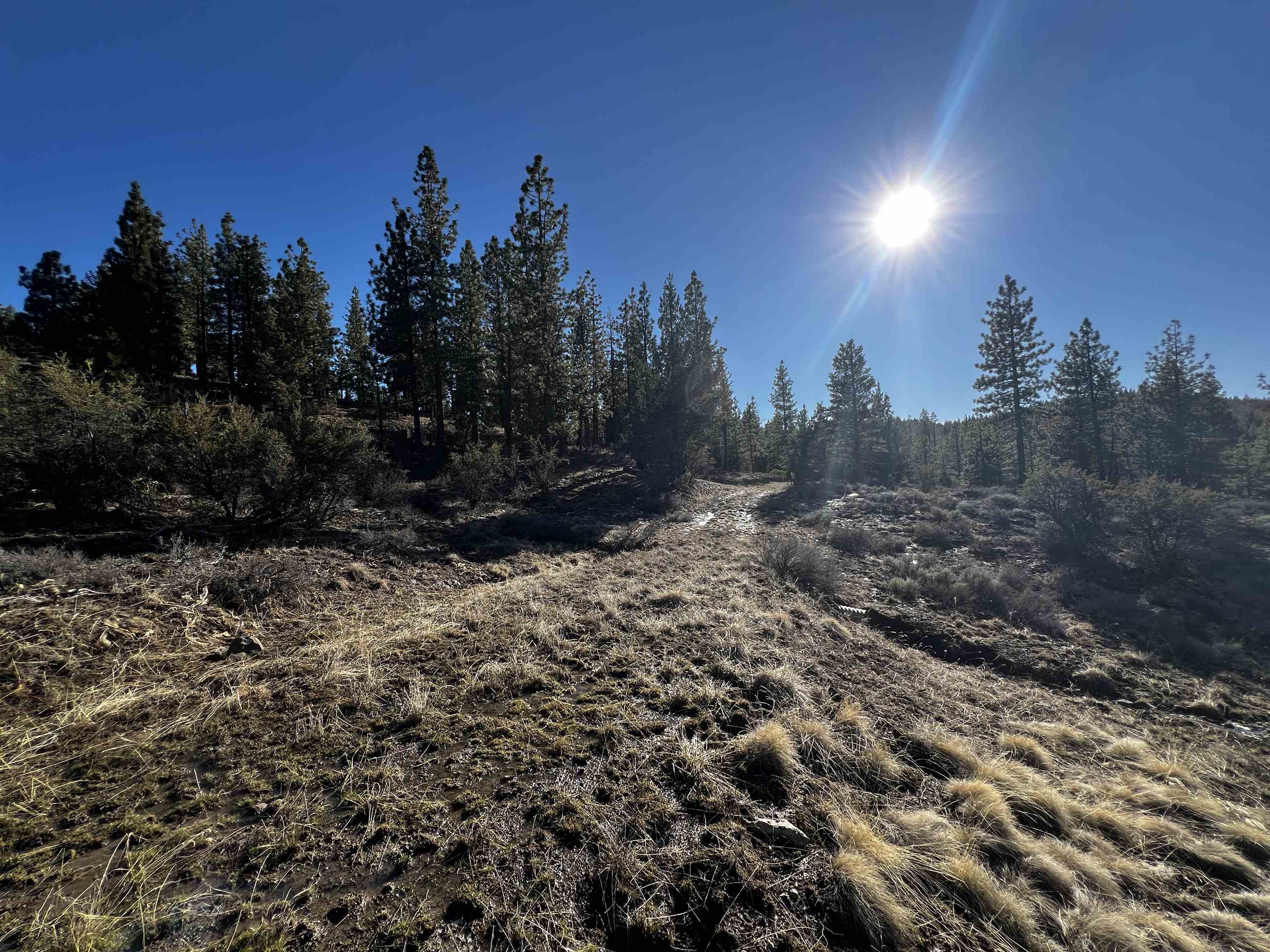 Property Photo: 22 Clouds Rest CA 96122