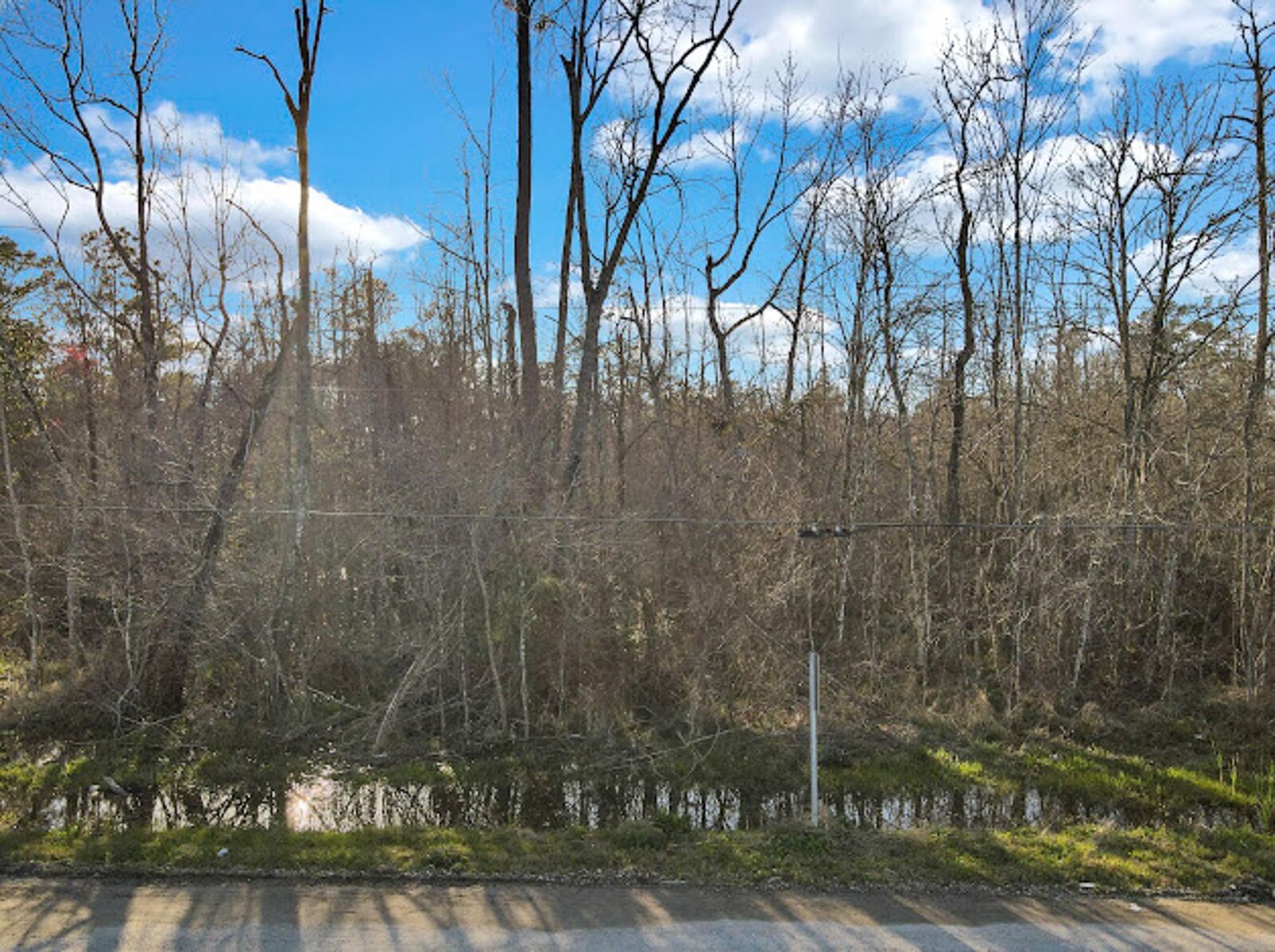 Property Photo: 658 County Road 3135 TX 77612