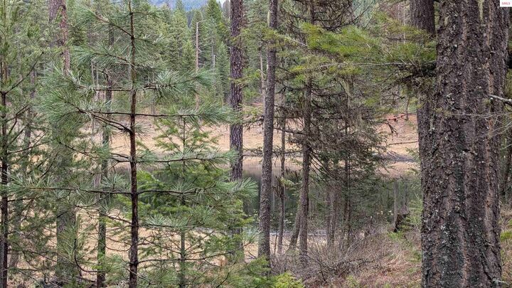 Property Photo: 53396 Highway 95 ID 83805