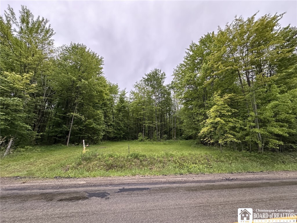 Property Photo: 0 Donelson Road NY 14701