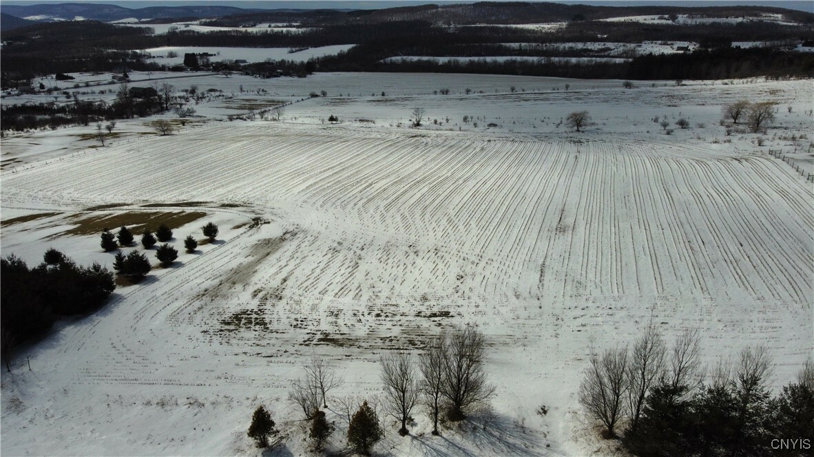Property Photo:  S Cortland Virgil Road  NY 13045 