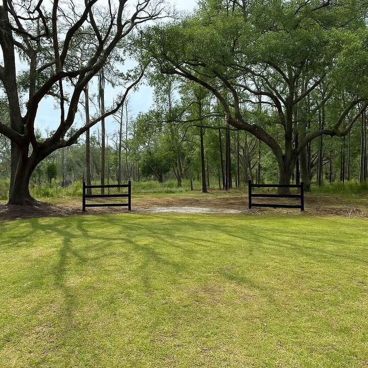 0 Whooping Island Creek Drive  Edisto Island SC 29438 photo