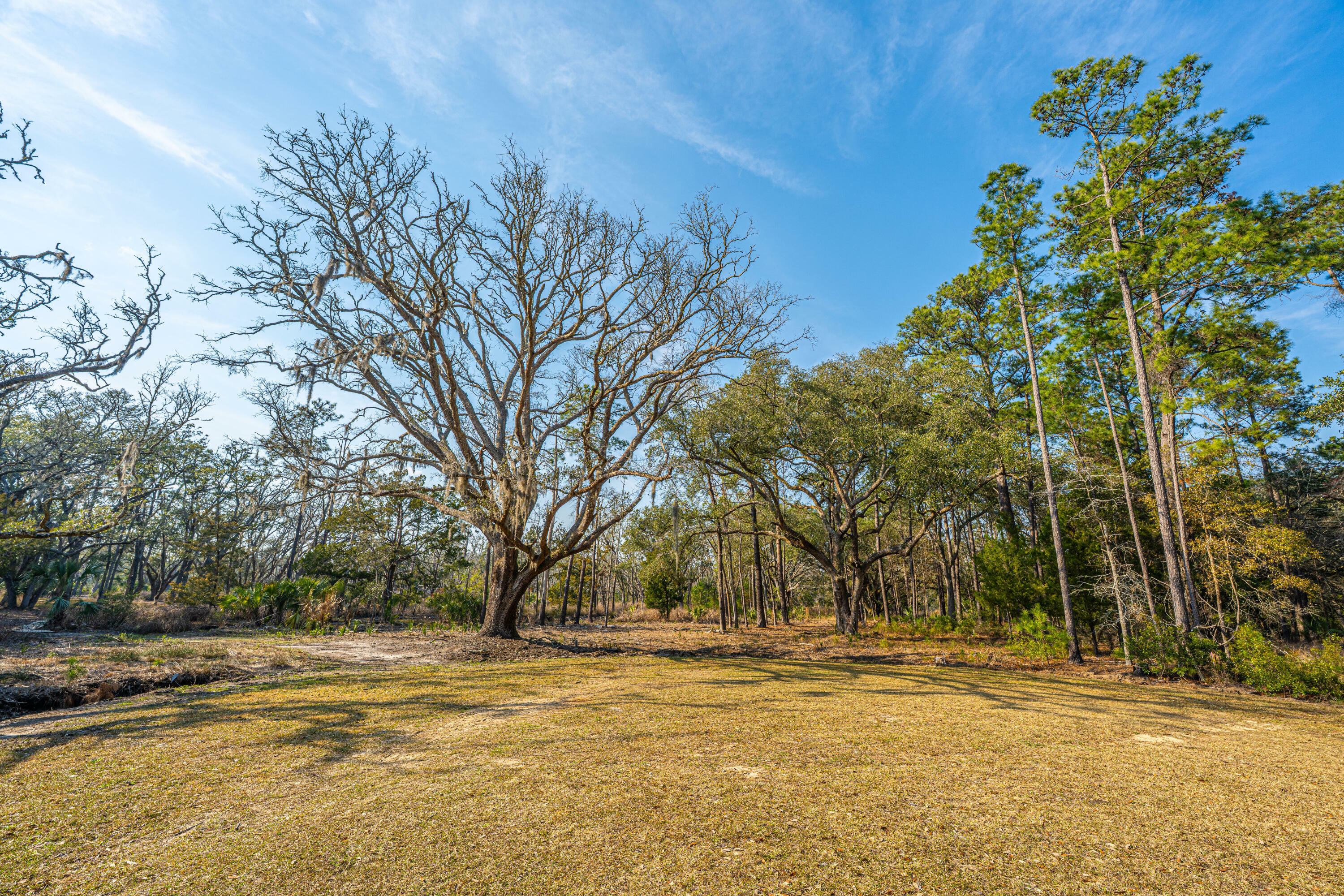 0 Whooping Island Creek Drive  Edisto Island SC 29438 photo