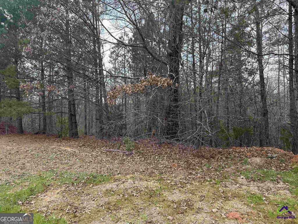 324 Wilsons Creek Bend  Bonaire GA 31005 photo