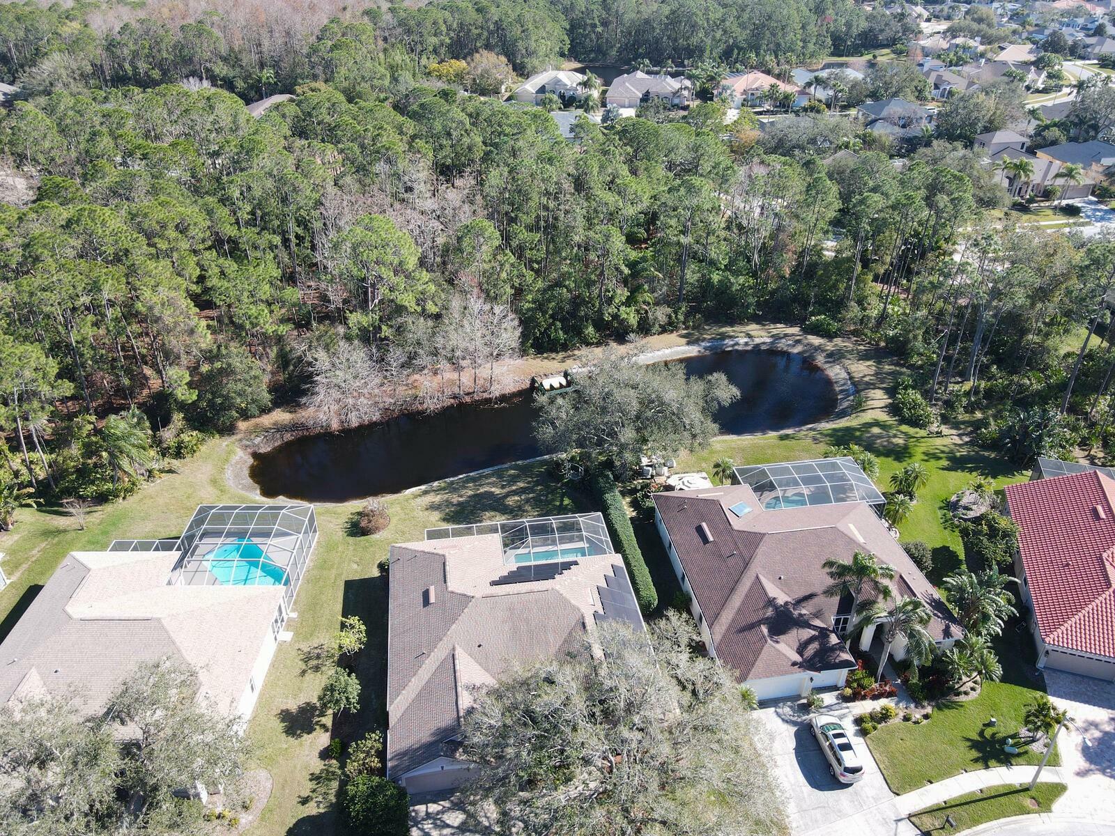 Property Photo:  3712 Pendlebury Drive  FL 34685 