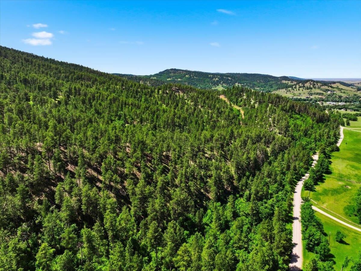 Property Photo:  Lot 3 Crook Mountain Road  SD 57793 