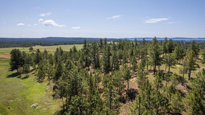 Property Photo:  11675 Canyon Rim Ranch  SD 57730 