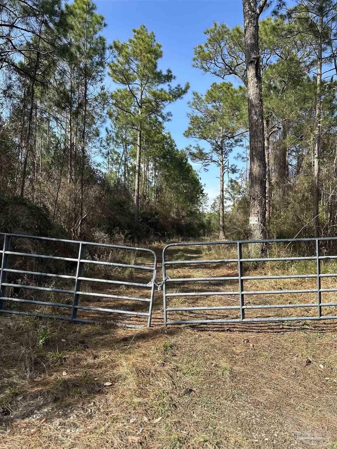 Property Photo:  Robinson Point Rd  FL 32583 