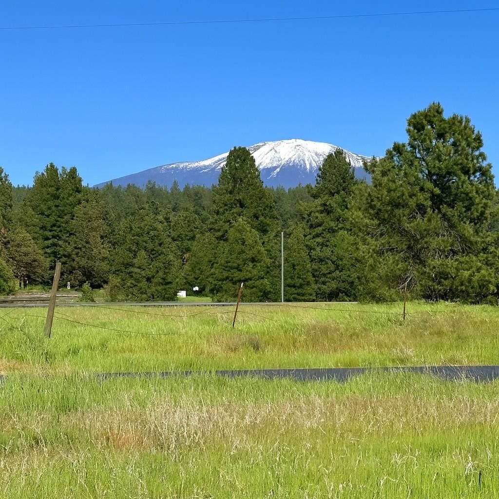 Property Photo:  28115 N North Rd  WA 99006 