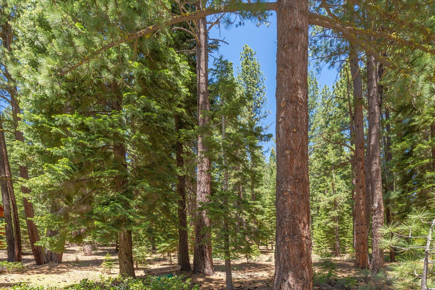 Property Photo: 11752 Saddleback Drive CA 96161