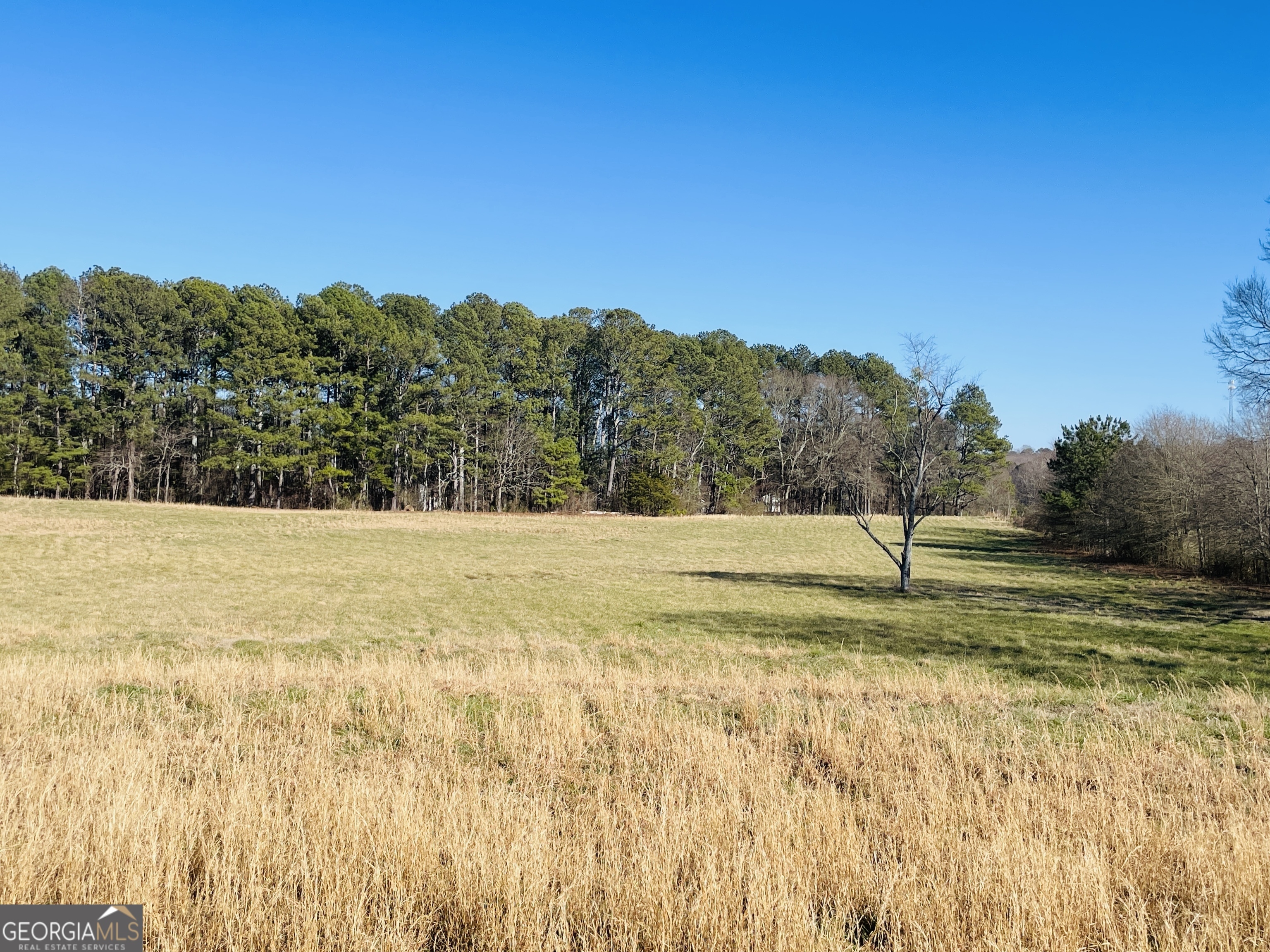 Property Photo: 481 Mt. Moriah Road GA 30011