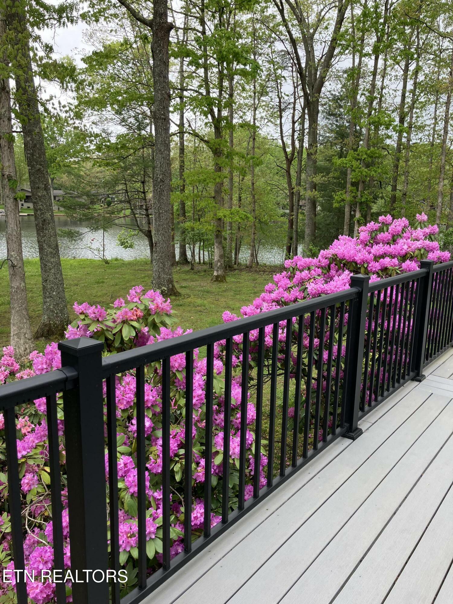 Property Photo: 232 Lakewood Drive TN 38558
