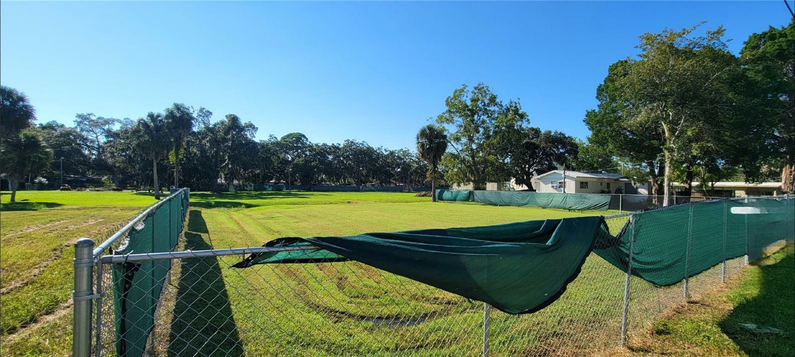 Property Photo:  14101 Plum Lane  FL 34667 