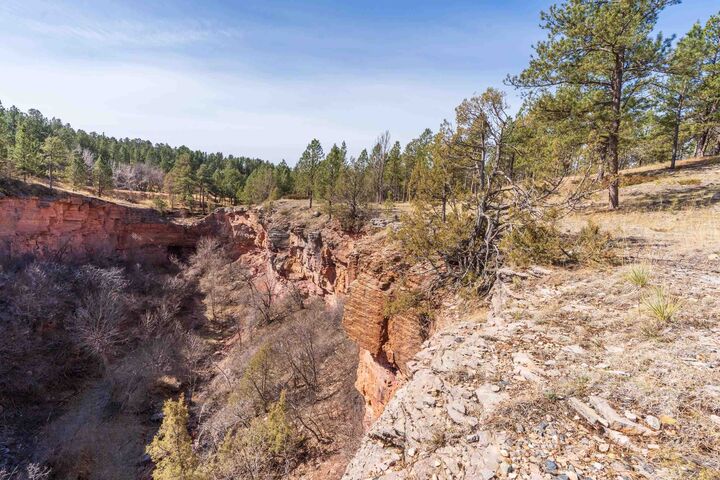 Property Photo:  Parcel 6B Saddle Ridge Road  SD 57744 
