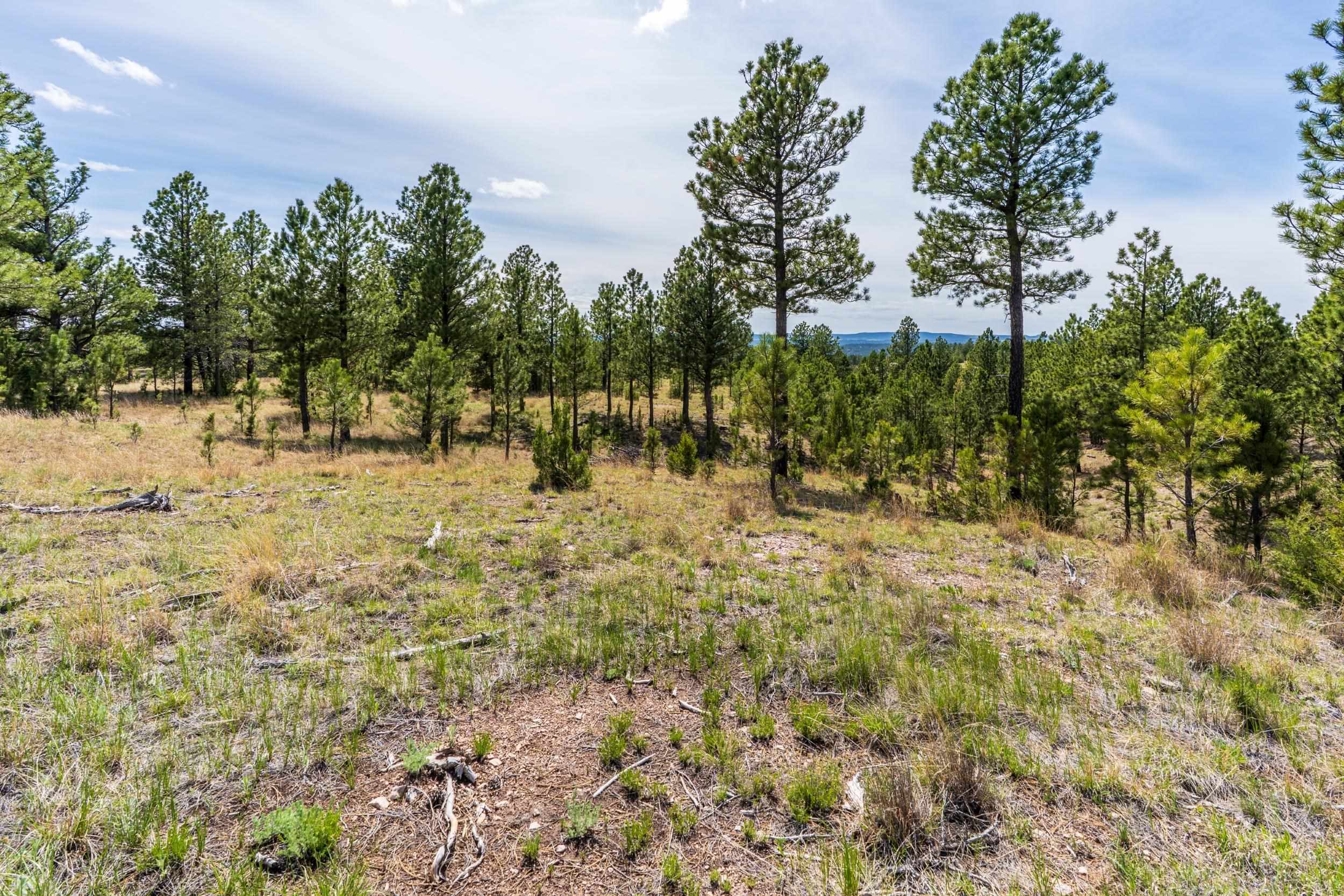Property Photo: 26771 Elk Run Road SD 57747