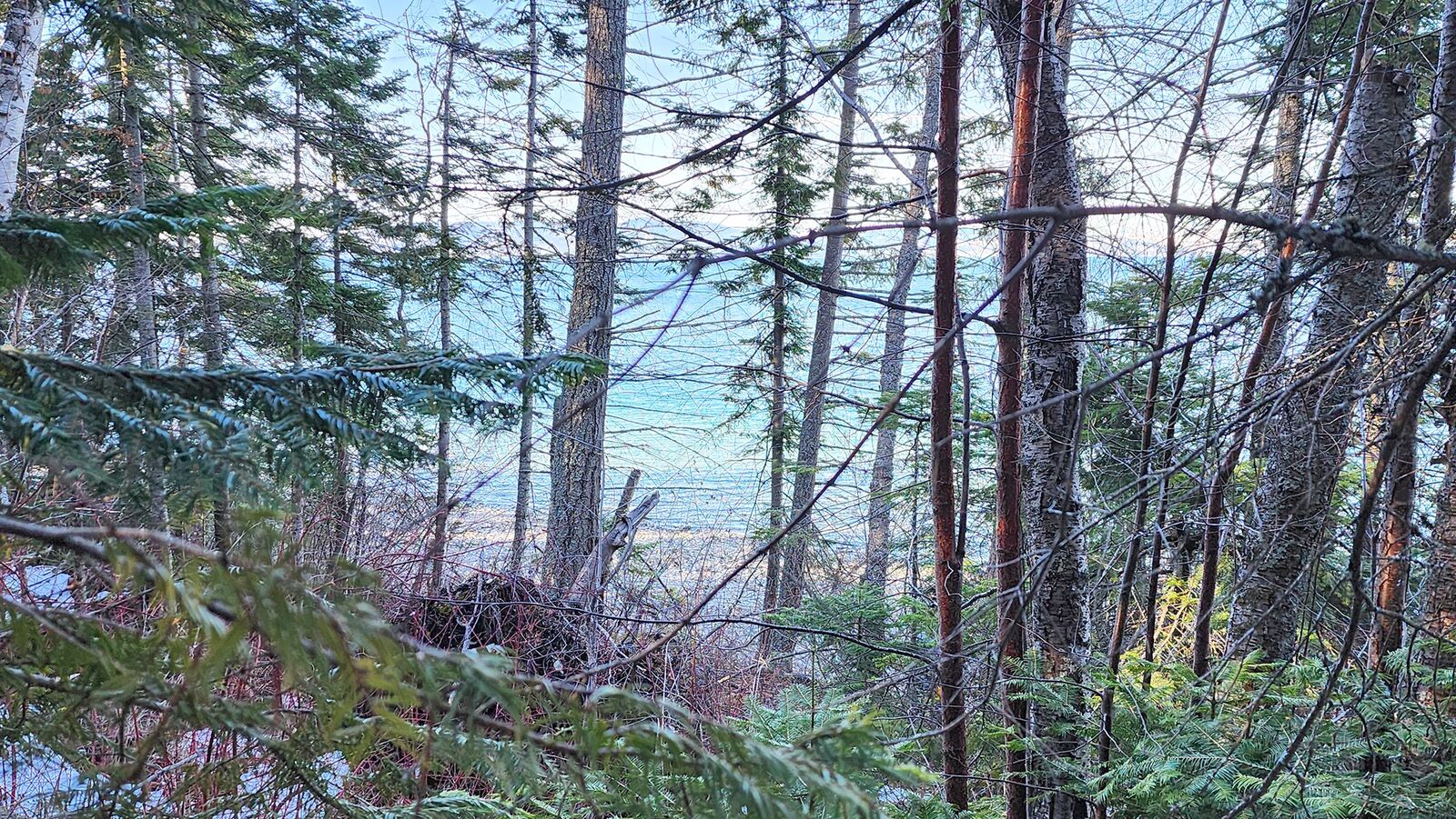 Property Photo: 24699 Mt Highway 35 MT 59911