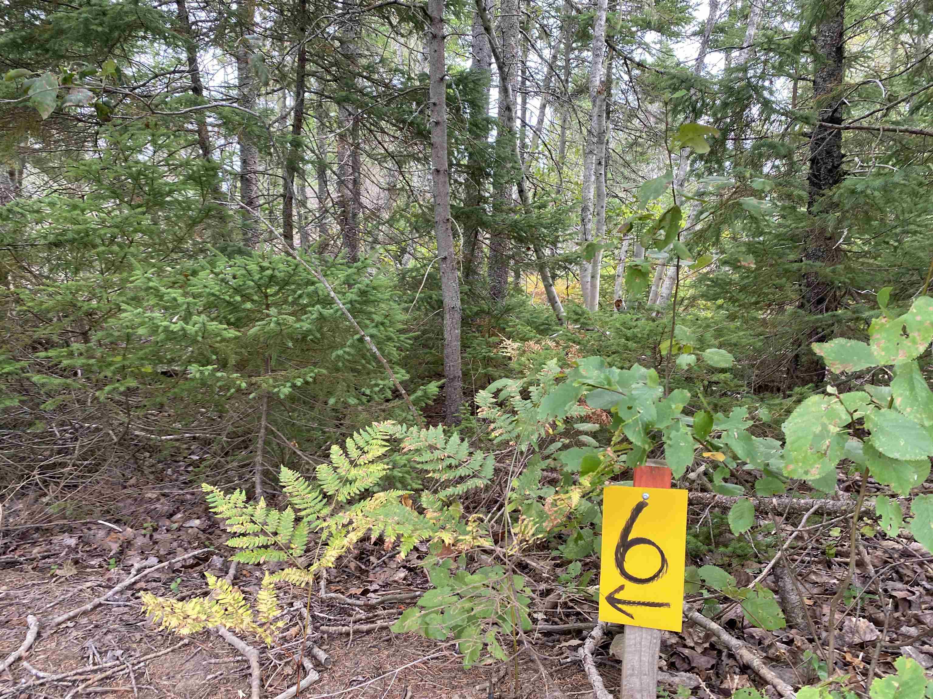 Photo de la propriété: Lot 6 Floating Bridge Road PE C0A 1W0